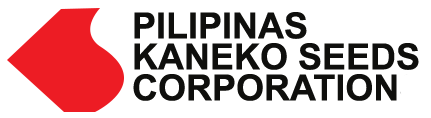 Pilipinas Kaneko Seeds Logo